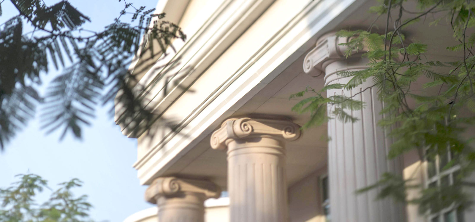 Our Latest background image2